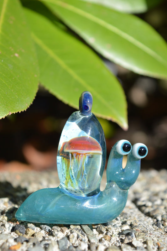 Jellyfish Shell Snail Pendant Collab